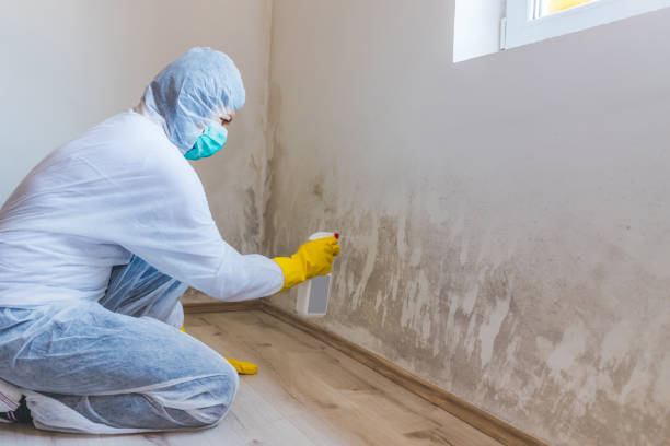Mold Remediation specialist working in Pottstown