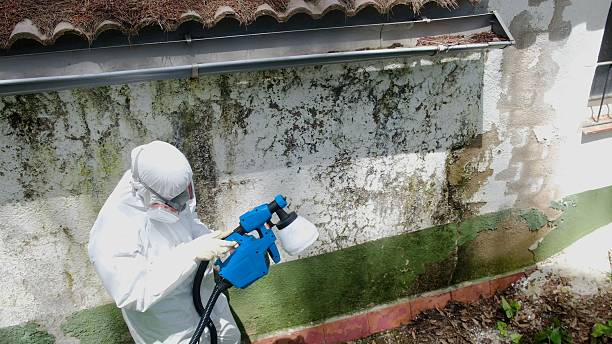 Mold Remediation service in Pottstown, Pottstown, PA
